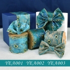 Peacock Feather Ribbon